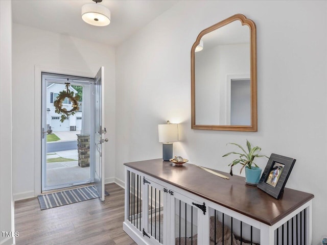 146 Bent Willow Dr, Clayton, NC 27527 - entryway featuring wood finished floors and baseboards