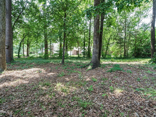108 S Drawbridge Ln, Cary, NC 27513 - view of yard