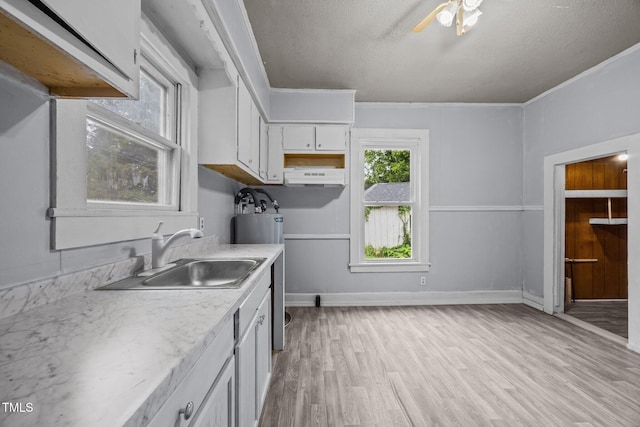 421 E Morehead St, Burlington, NC 27215 - kitchen with a sink, light wood-style flooring, under cabinet range hood, light countertops, and white cabinetry
