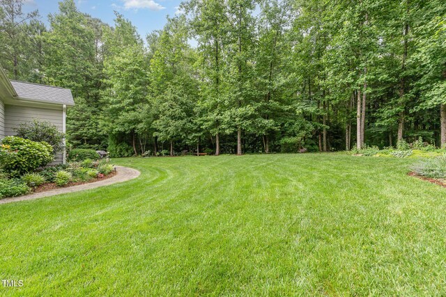 114 Margaret Mann Way, Pittsboro, NC 27312 - photo 38