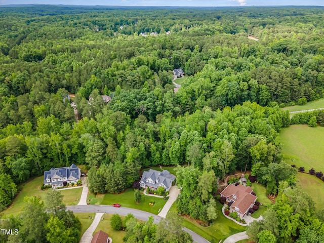 114 Margaret Mann Way, Pittsboro, NC 27312 - photo 42
