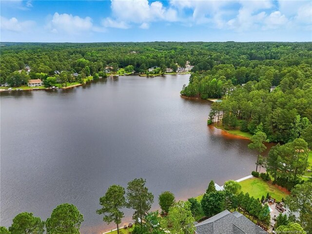 46 Wateredge Ln, Sanford, NC 27332 - photo 47