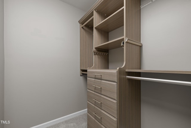 238 Langford Valley Way, Cary, NC 27513 - spacious closet with carpet floors