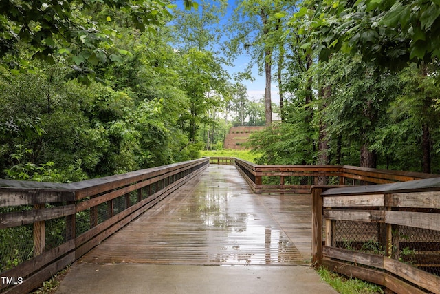 238 Langford Valley Way, Cary, NC 27513 - view of community