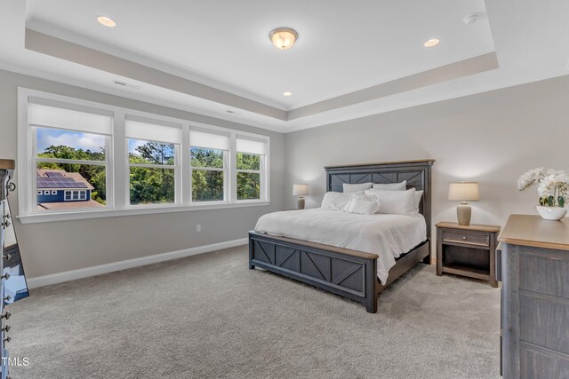 109 Crested Coral Dr, Holly Springs, NC 27540 - carpeted bedroom featuring a raised ceiling, baseboards, and recessed lighting