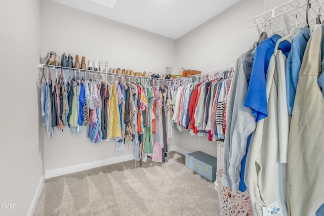 109 Crested Coral Dr, Holly Springs, NC 27540 - spacious closet with carpet