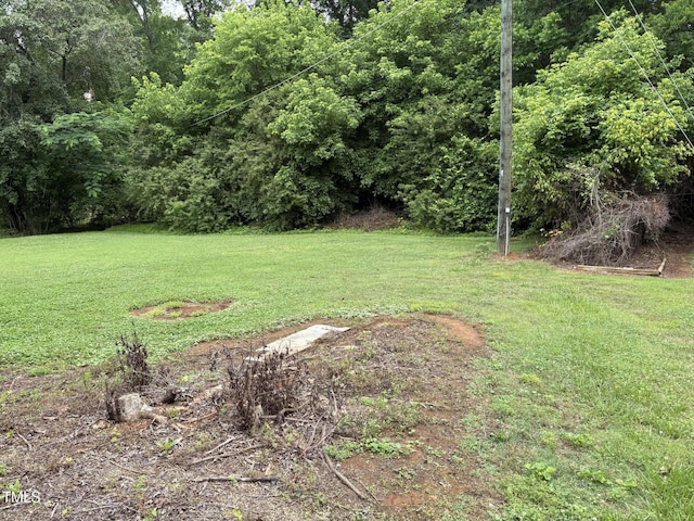 1942 Brier Ln, Graham, NC 27253 - view of grassy yard