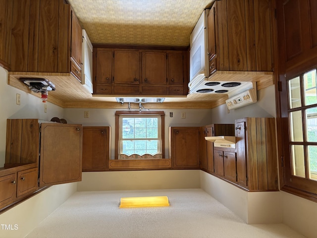 1942 Brier Ln, Graham, NC 27253 - kitchen featuring brown cabinets, plenty of natural light, light countertops, and carpet floors