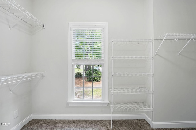 3020 Woods Walk Way, Rocky Mount, NC 27804 - spacious closet featuring carpet flooring