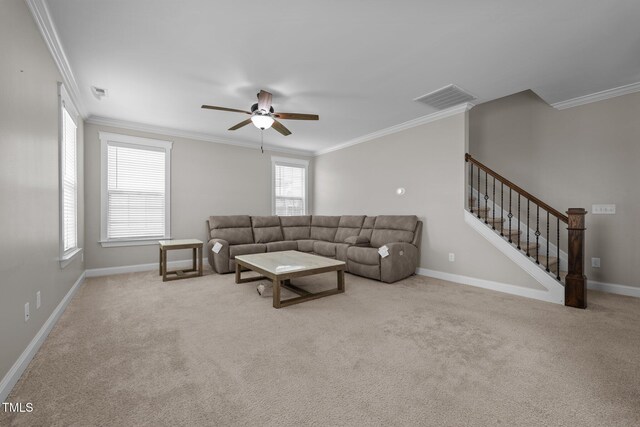 319 Brinkley Cir, Mebane, NC 27302 - photo 15