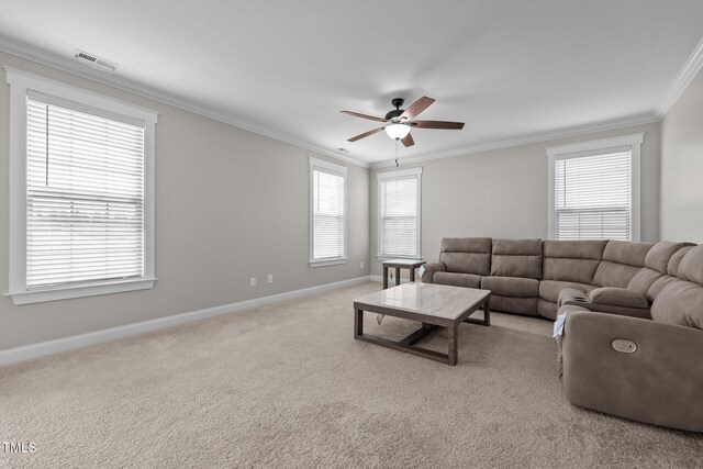 319 Brinkley Cir, Mebane, NC 27302 - photo 17
