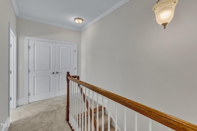 117 Finsbury St, Durham, NC 27703 - photo 15