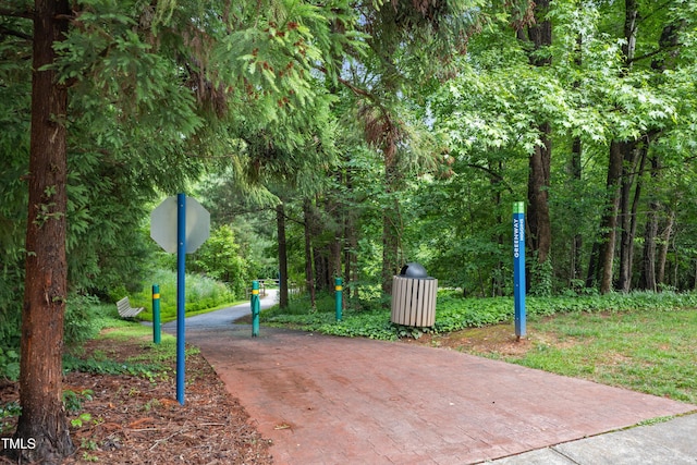 119 Danforth Dr, Cary, NC 27511 - view of community