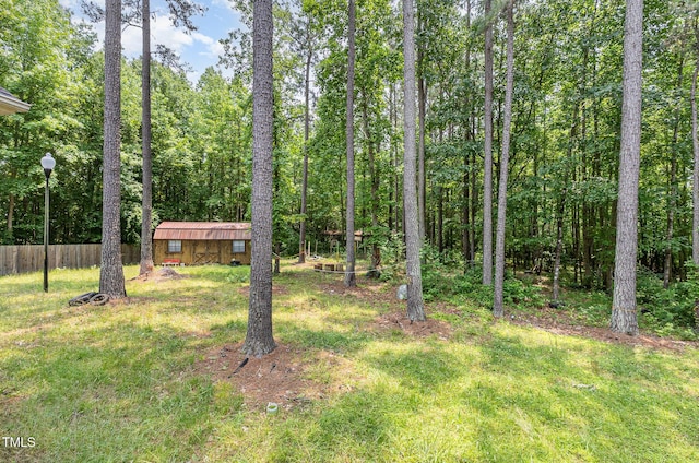 3304 Black Stallion Ct, Zebulon, NC 27597 - view of yard with a storage shed
