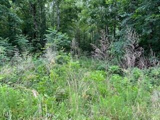 00 Frank Bullock Rd, Manson, NC 27553