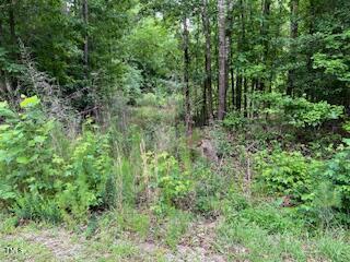 00 Frank Bullock Rd, Manson, NC 27553