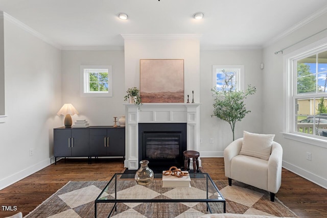 415 Dupree St, Durham, NC 27707 - living room featuring healthy amount of natural light, wood finished floors, crown molding, baseboards, and recessed lighting