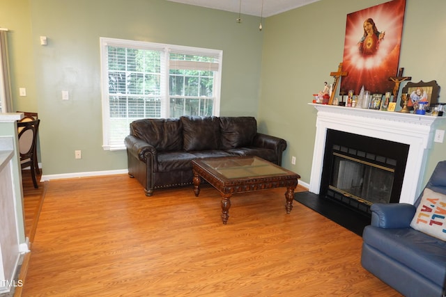 114 Calebra Way, Cary, NC 27519 - living room with light wood finished floors, baseboards, and a glass covered fireplace