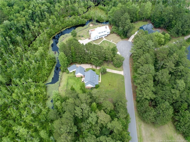 5387 Clubhouse Ln, Hope Mills, NC 28348 - view of property location with a large body of water and a forest