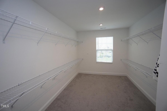 4416 Walker Hallow St, Raleigh, NC 27616 - spacious closet with carpet floors