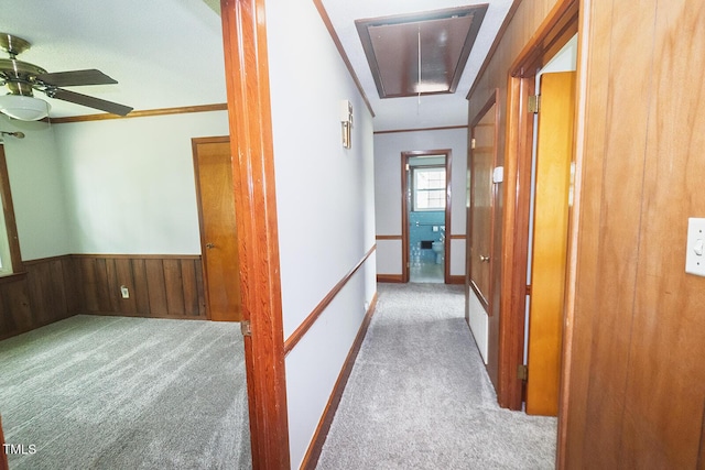 205 N Augusta Ave, Benson, NC 27504 - hallway with attic access, carpet, a wainscoted wall, ornamental molding, and wood walls