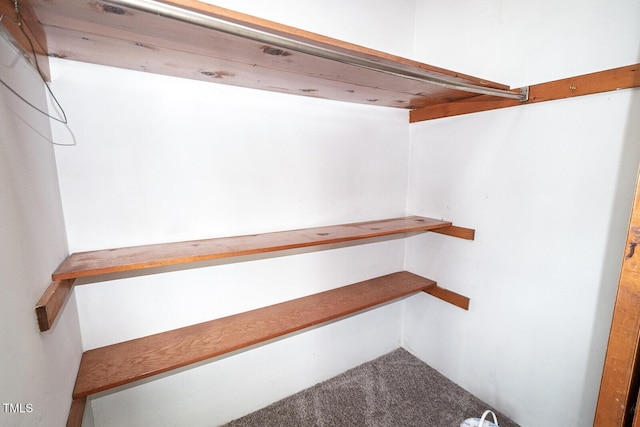 205 N Augusta Ave, Benson, NC 27504 - spacious closet with carpet floors