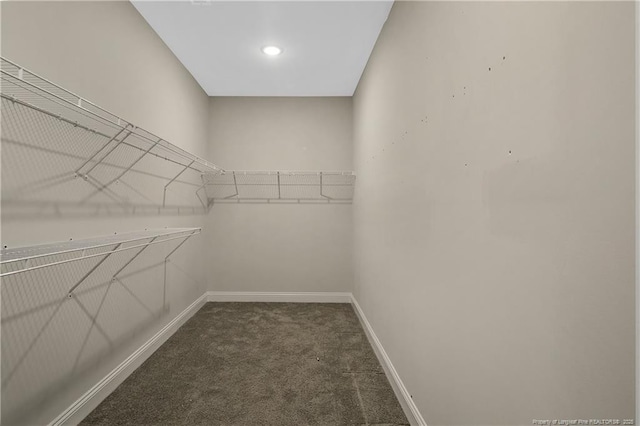 1664 Seattle Slew Ln, Hope Mills, NC 28348 - walk in closet with dark colored carpet