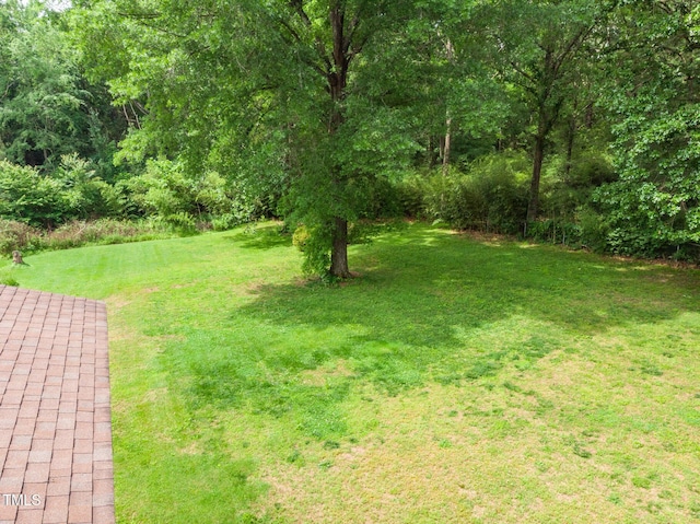 1822 Routh Rd, Burlington, NC 27217 - view of green lawn