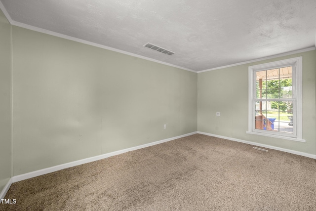 2527 Ossipee Front St, Elon, NC 27244 - unfurnished room with carpet, baseboards, and a textured ceiling