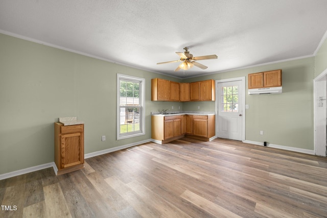 2527 Ossipee Front St, Elon, NC 27244 - kitchen featuring under cabinet range hood, crown molding, ceiling fan, a sink, and healthy amount of natural light