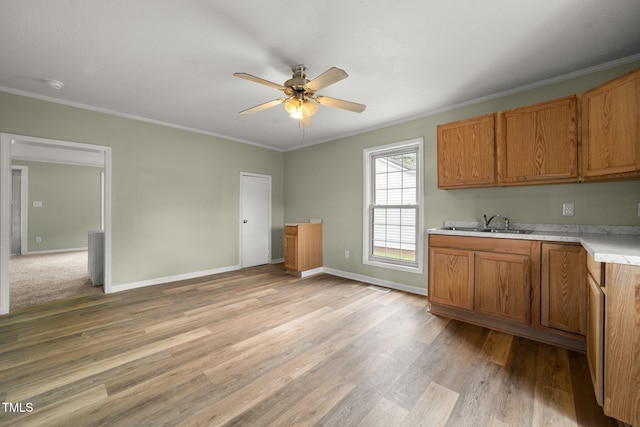 2527 Ossipee Front St, Elon, NC 27244 - kitchen with a ceiling fan, light countertops, ornamental molding, light wood finished floors, and a sink