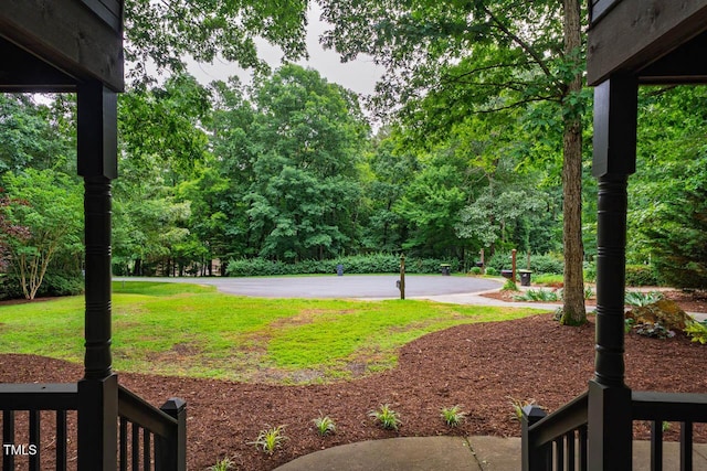 8821 Oconee Ct, Chapel Hill, NC 27516 - view of grassy yard