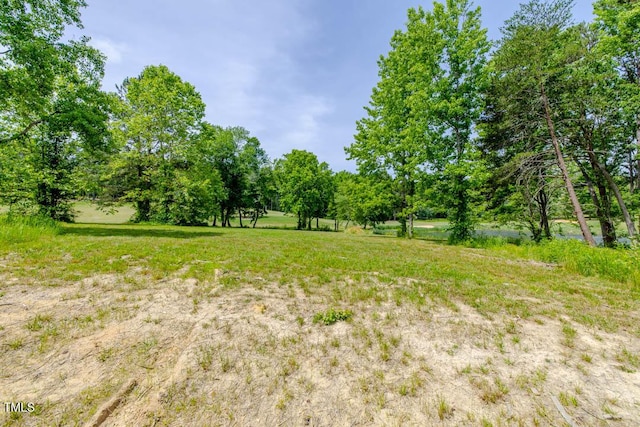 54 Caswell Pines Clubhouse Dr, Blanch, NC 27212 - photo 5