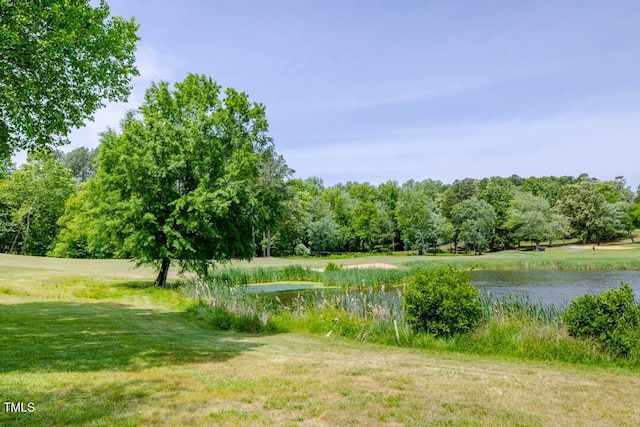 54 Caswell Pines Clubhouse Dr, Blanch, NC 27212 - photo 3