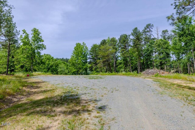 54 Caswell Pines Clubhouse Dr, Blanch, NC 27212 - photo 7