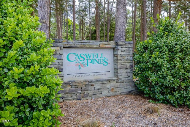 54 Caswell Pines Clubhouse Dr, Blanch, NC 27212 - photo 23