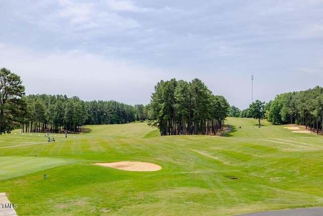 54 Caswell Pines Clubhouse Dr, Blanch, NC 27212 - photo 8