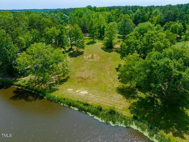 54 Caswell Pines Clubhouse Dr, Blanch, NC 27212 - photo 16