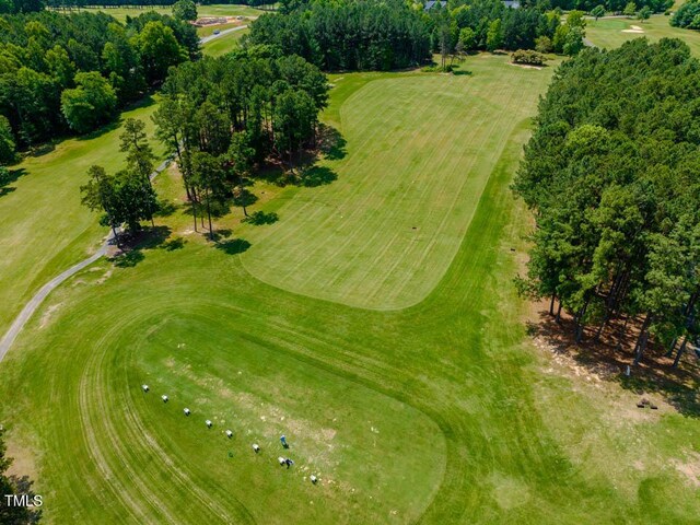 54 Caswell Pines Clubhouse Dr, Blanch, NC 27212 - photo 20