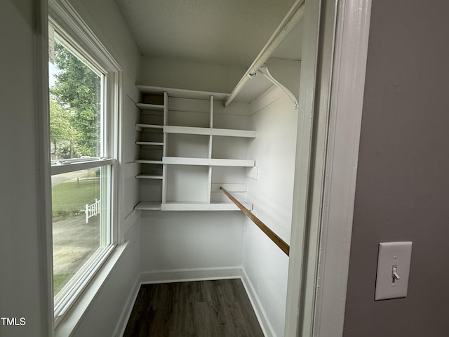 3825 Old Coach Rd, Raleigh, NC 27616 - walk in closet with dark wood-style flooring
