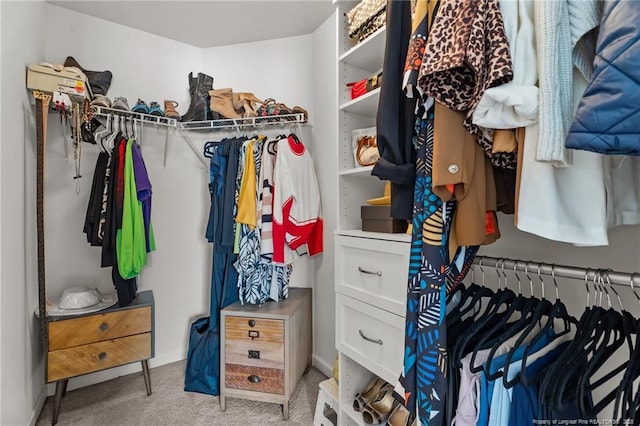 308 Hazel Dr, Stantonsburg, NC 27883 - spacious closet with carpet
