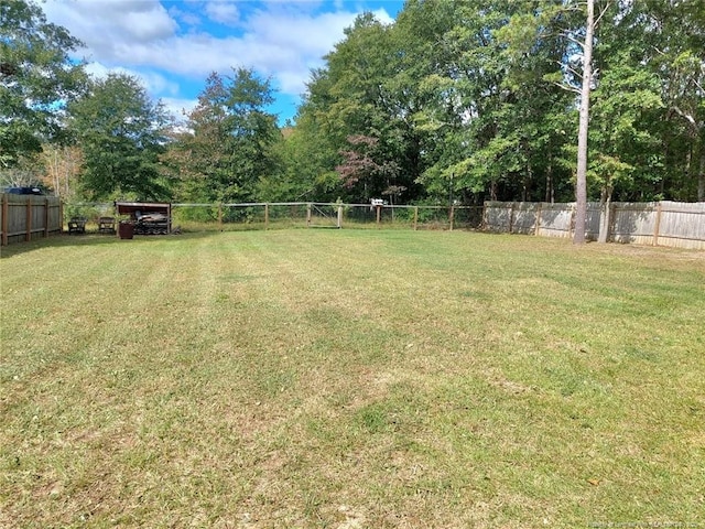 164 Merita Dr, Raeford, NC 28376 - view of yard