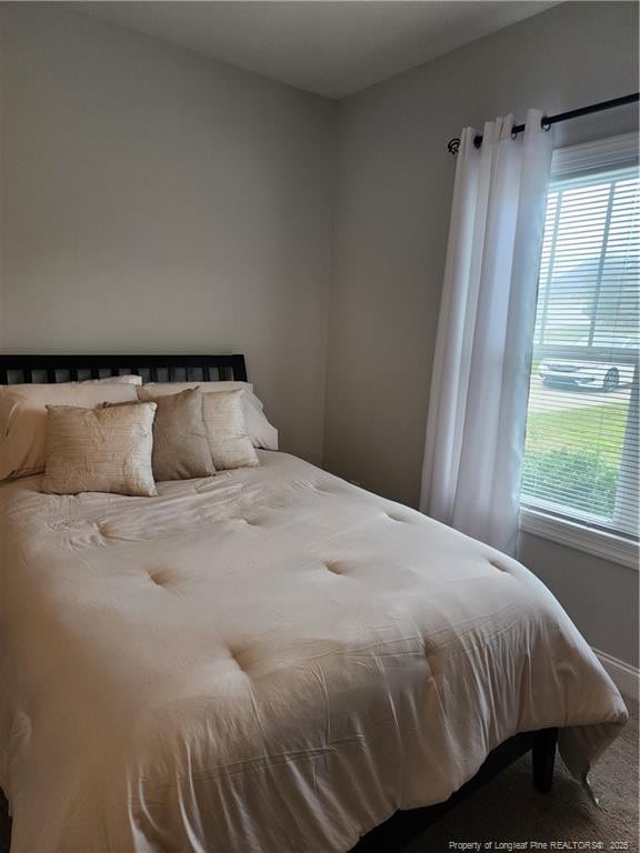 207 Southwick Ct, Sanford, NC 27332 - bedroom with multiple windows