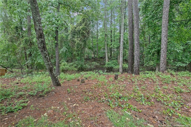 98 Pineridge Cv, Sanford, NC 27332 - photo 47