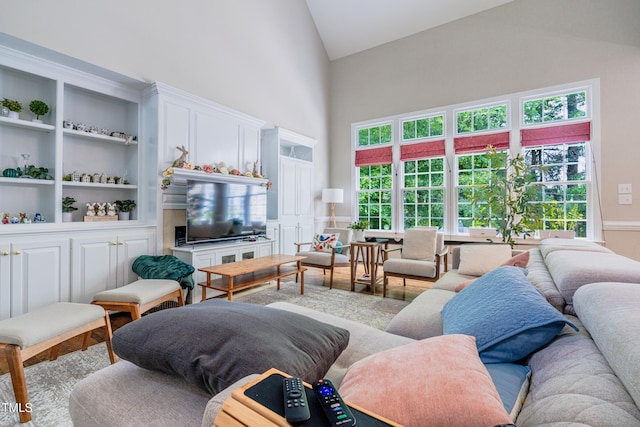 116 Hamilton Hedge Pl, Cary, NC 27519 - living room with high vaulted ceiling, built in features, and wood finished floors