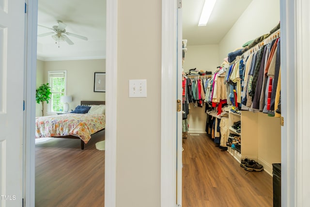 116 Hamilton Hedge Pl, Cary, NC 27519 - spacious closet featuring wood finished floors and a ceiling fan