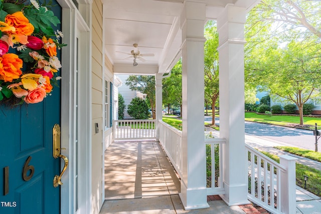 116 Hamilton Hedge Pl, Cary, NC 27519 - covered porch with ceiling fan