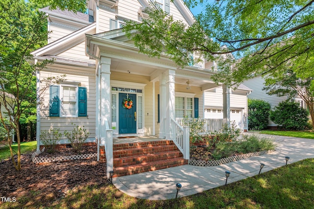 116 Hamilton Hedge Pl, Cary, NC 27519 - doorway to property featuring a porch and driveway