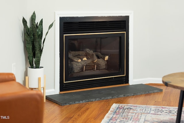 657 Lakeview Dr, Stem, NC 27581 - detailed view of a glass covered fireplace, baseboards, and wood finished floors