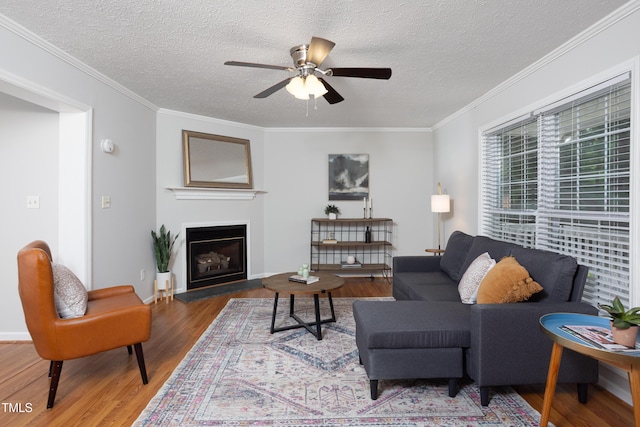 657 Lakeview Dr, Stem, NC 27581 - living room with wood finished floors, ceiling fan, a textured ceiling, a fireplace with raised hearth, and ornamental molding